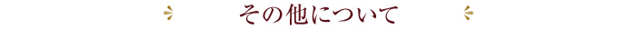 その他について