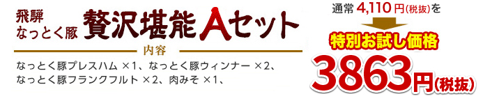ґ򊬔\Zbgʂi3,863~