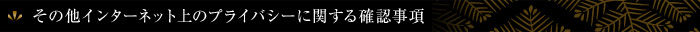 その他インターネット上のプライバシーに関する確認事項